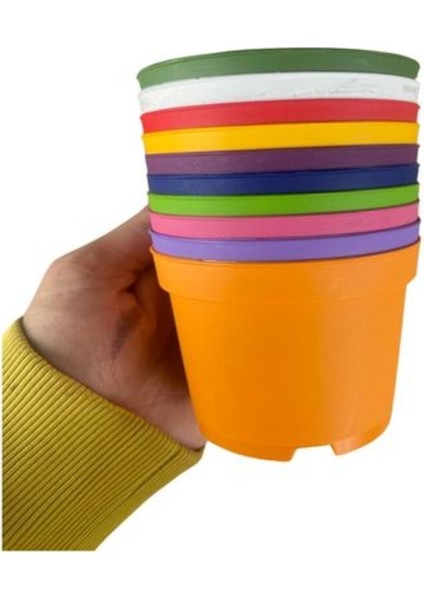 Katı Plastik Sukulent Saksısı 10 Adet Açık Yeşil (8.5 cm)