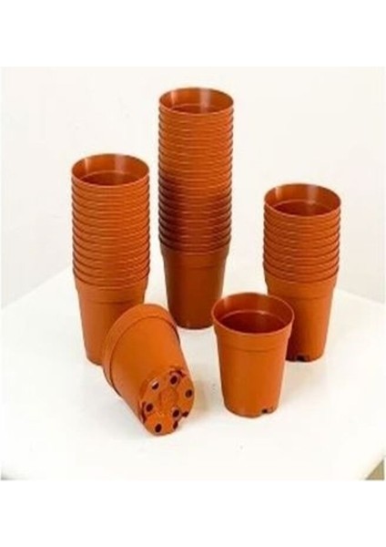 Katı Plastik Sukulent Saksısı 10 Adet Kahverengi (5.5 cm)