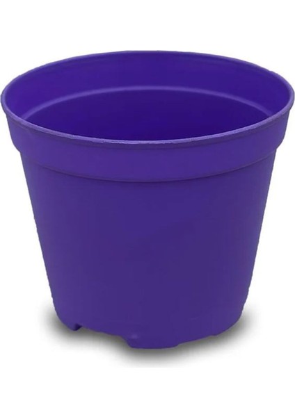 Katı Plastik Sukulent Saksısı 10 Adet Koyu Mor (5.5 cm)