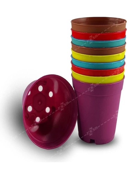 Katı Plastik Sukulent Saksısı 10 Adet Koyu Mor (5.5 cm)