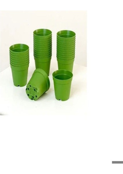 Katı Plastik Sukulent Saksısı 5 Adet Yeşil (5.5 cm)
