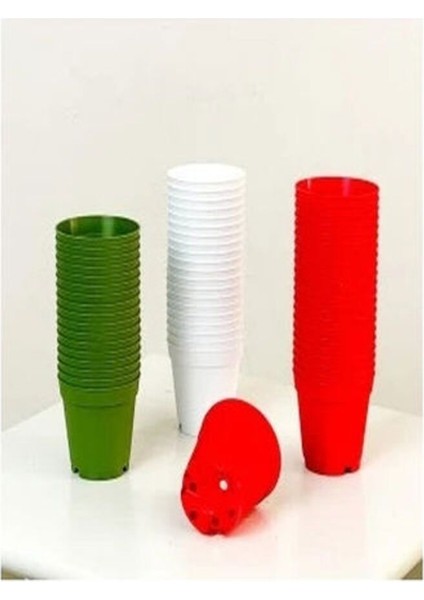 Katı Plastik Sukulent Saksısı 5 Adet Yeşil (5.5 cm)
