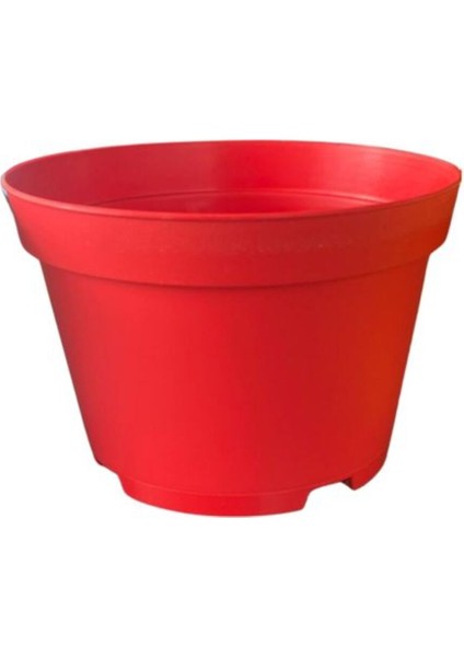 Katı Plastik Sukulent Saksısı 5 Adet Kırmızı (8.5 cm)
