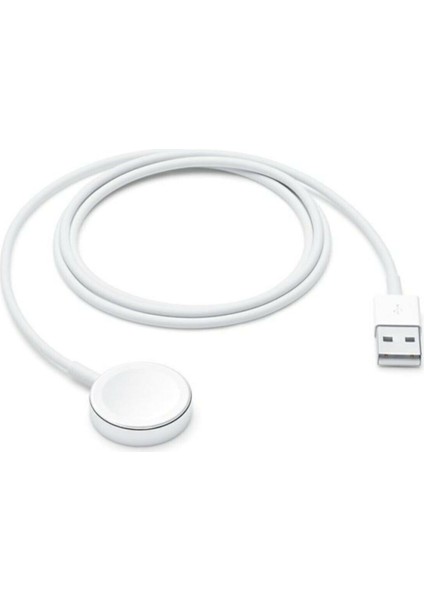 Apple Watch Magnetic Fast Charger To Usb-C | Hızlı Şarj