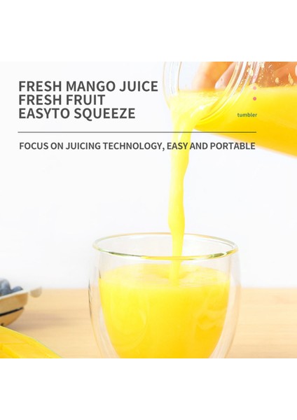 Taşınabilir Blender Elektrikli USB Mikser Sıkacağı Makinesi Mini Gıda Smoothie El Kişisel Meyve Sıkacağı Sıkacağı 500 Ml, C (Yurt Dışından)