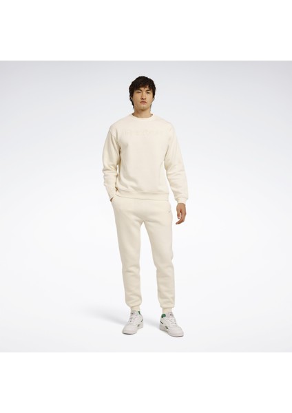 Arın C Neck Bej Erkek Sweatshirt modelleri