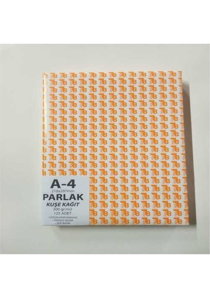 A4 Parlak Kuşe 300 gr 125 Li