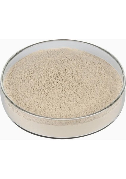 Beta 1,3/1,6 Glucan Saf Hammadde 100 gr