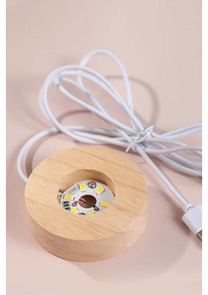 Işıklı Cam Küre Dönme Dolap Görselli Ahşap Altlıklı fiyatları