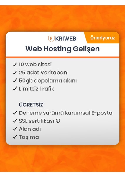 Web Hosting Gelişen