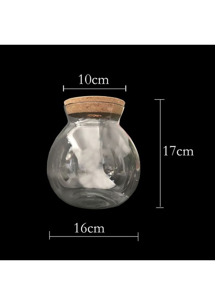 No.3 Tarzı 1 Adet Yuvarlak Cam Kavanoz Mikro Peyzaj Boş Şişe Gece Lambası Akvaryum Balık Tankı Süsü (Yurt Dışından)