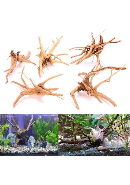 10-15CM Tarzı Derinlik Odun Balık Tankı Derinlik Odun Doğal Ağaç Gövdesi Akvaryum Balık Tankı Bitki Aquario Akvaryum Dekorasyon Altın Orman Dekorasyonu (Yurt Dışından) fiyatları
