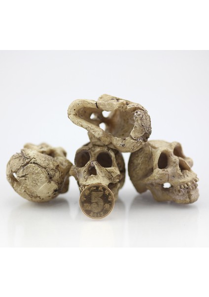 Beyaz Stil S Beden 1 Adet Akvaryum Kafatası Reçine Balık Tankı Dekorasyonu - Kertenkele Tankı Balık Tankı Akvaryum Süsü (Yurt Dışından) fiyatları