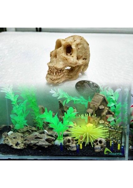 Beyaz Stil S Beden 1 Adet Akvaryum Kafatası Reçine Balık Tankı Dekorasyonu - Kertenkele Tankı Balık Tankı Akvaryum Süsü (Yurt Dışından) modelleri