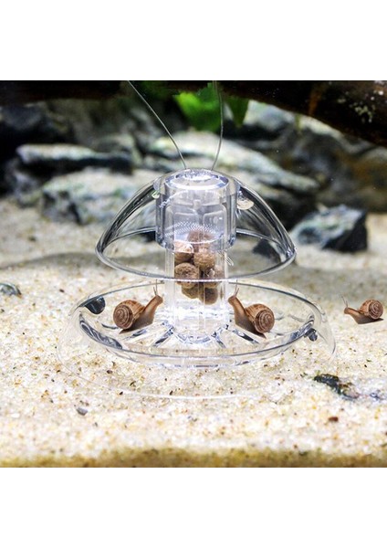 Çap 8cm Akvaryum Balık Bitki Tankı Plastik Temiz Salyangoz Tuzağı Yakalayıcı Bitkiler Zararlı Yakalama Kutusu Sülük Çevre Temizleme Aracı (Yurt Dışından)