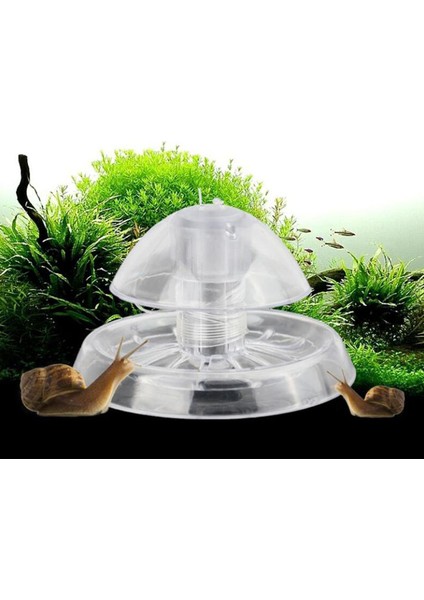 Çap 8cm Akvaryum Balık Bitki Tankı Plastik Temiz Salyangoz Tuzağı Yakalayıcı Bitkiler Zararlı Yakalama Kutusu Sülük Çevre Temizleme Aracı (Yurt Dışından) modelleri