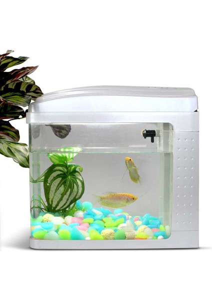 No.2 Tarzı 50 Parça Glow Taş Akvaryum Dekoratif Parlayan Taş Luminous Sahte Çakıl Deniz Canlıları Denizyıldızı Güneşli Balık Tankları Dekorasyon Bahçe (Yurt Dışından) fırsatları