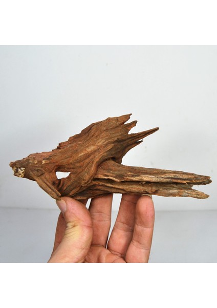 15-20CM 1 Adet Tarzı Doğal Ahşap Balık Tankı Sürüklenmiş Ağaç Mor Teak Gövde Sürüklenmiş Akuarium Bitkisi Aquario Dekorasyonu (Yurt Dışından) modelleri