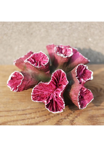 Stil2 Stili 1 Parça Moda 5 Tür Mini Yapay Mercan Balık Tankı Süsleri Renkli Peyzaj Akvaryum Dekorasyonu (Yurt Dışından) fırsatları