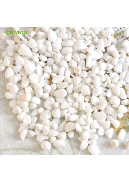 6-8 mm Taş Stili S Beden 100G Doğal Nehir Dekoratif Taş Mermerleri Sukulent Bonsai Balık Tankı No Vazo Bitki Ev Bahçe Dekorasyonu Beyaz F460 (Yurt Dışından)