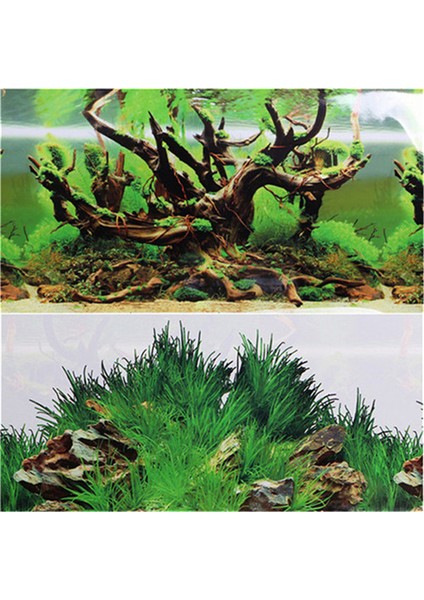 F Stili 40CMY x 80CML cm Yüksek Çift Taraflı Akvaryum Arka Planı Poster Kaya Balık Tankı Dekoratif Duvar Arka Plan Resim Parlatmalı (Yurt Dışından)