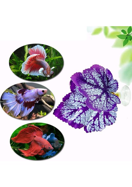 Koyu Yeşil Stil Balık Dinlenme Yumurtlama Yaprağı Akvaryum Balık Yatağı Akvaryum Aksesuarı Balık Tankı Simülasyon Hamak Yapay Bitki Balık Yatağı Betta Yaprağı (Yurt Dışından) fiyatları