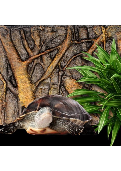 F Stili 3D Köpük Taş Akvaryum Arka Fon Tahta Dekor Köpük Tahta Kertenkele Balık Tankı cm Sdf-Gemi (Yurt Dışından) modelleri