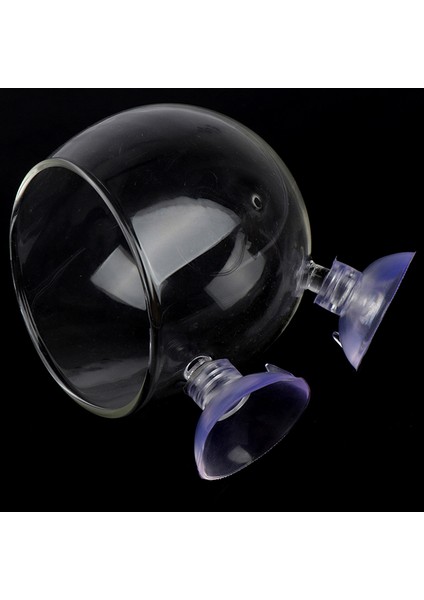 Resim Stili Olarak Balık Tankı Aksesuarları Temiz Kristal Cam Bitki Saksısı Bitki Kupası Tutucu Aquarium Pejzaş Bardakları Aquascape Lavabo Aquascape Kupa (Yurt Dışından) fiyatları