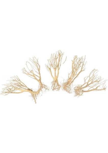 15-20CM Tarzı 2 Adet Akvaryum Dekorasyon Ahşap Doğal Kurutulmuş Kütük Kuru Dal Sazlığı Kök Yosun Ağaç Süs Eşyası (Yurt Dışından) fiyatları