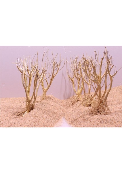 15-20CM Tarzı 2 Adet Akvaryum Dekorasyon Ahşap Doğal Kurutulmuş Kütük Kuru Dal Sazlığı Kök Yosun Ağaç Süs Eşyası (Yurt Dışından) fırsatları