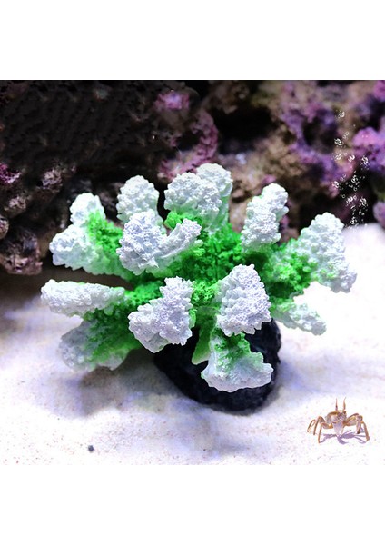 10 11X8X9CM Stili Yeni Gelen Yapay Reçine Mercan Resifi Akvaryum Süsleri Peyzaj Balık Tankı Dekor Ev Balık Tankı Mikro Peyzaj Dekorasyonu (Yurt Dışından)