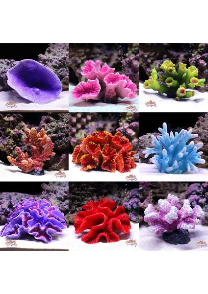 10 11X8X9CM Stili Yeni Gelen Yapay Reçine Mercan Resifi Akvaryum Süsleri Peyzaj Balık Tankı Dekor Ev Balık Tankı Mikro Peyzaj Dekorasyonu (Yurt Dışından) fiyatları