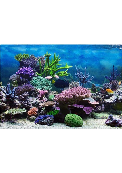 C Stili 30X42CM Yağmur Ormanı Akvaryum Arka Plan Poster Balık Tankı Sürüngen Kutusu Pvc 3D Sualtı Dünya Manzara Resim Dekor Arka Plan Duvar Kağıdı (Yurt Dışından)