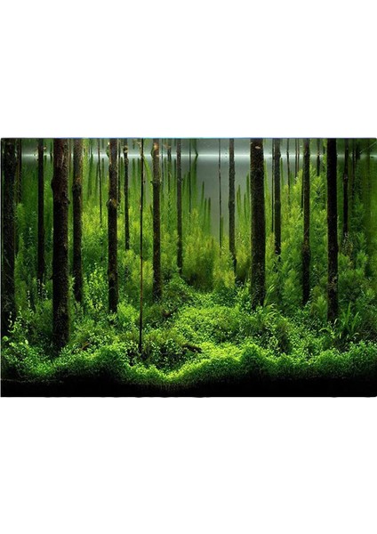 D Stili 30X52CM Yağmur Ormanı Akvaryum Arka Plan Poster Balık Tankı Sürüngen Kutusu Pvc 3D Sualtı Dünya Manzara Resim Dekor Arka Plan Duvar Kağıdı (Yurt Dışından)
