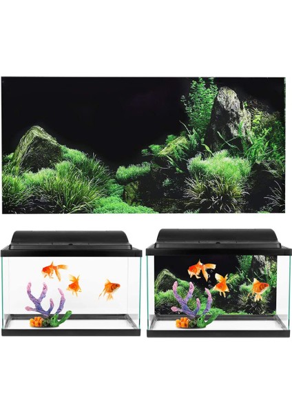 D Stili 30X52CM Yağmur Ormanı Akvaryum Arka Plan Poster Balık Tankı Sürüngen Kutusu Pvc 3D Sualtı Dünya Manzara Resim Dekor Arka Plan Duvar Kağıdı (Yurt Dışından)