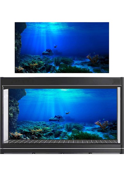 D Stili 30X52CM Yağmur Ormanı Akvaryum Arka Plan Poster Balık Tankı Sürüngen Kutusu Pvc 3D Sualtı Dünya Manzara Resim Dekor Arka Plan Duvar Kağıdı (Yurt Dışından)