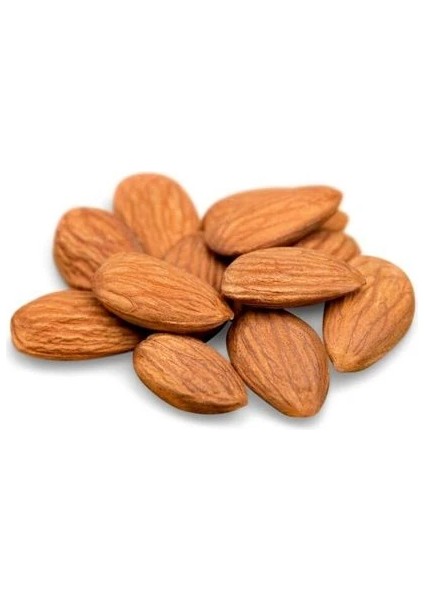 Badem Fidanı Genco fiyatları