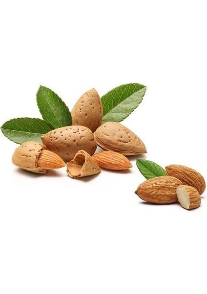 Badem Fidanı Ferraduel 60 80 cm Saksıda fiyatları