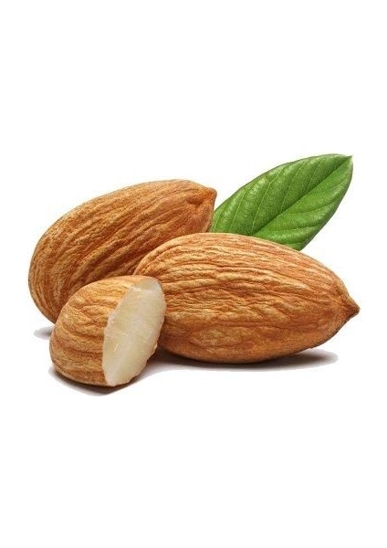 Badem Fidanı Yaltınski fiyatları