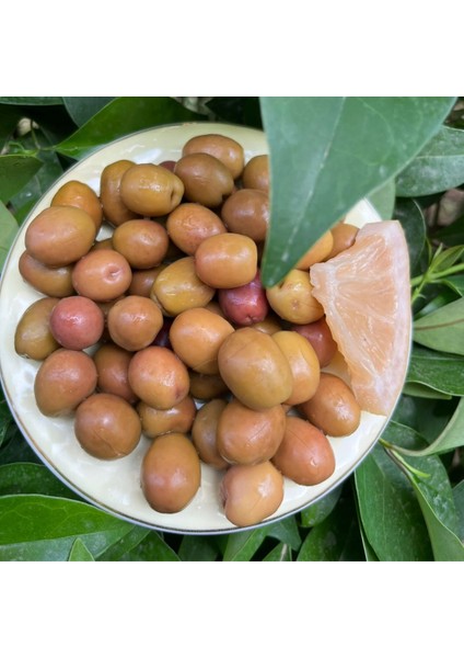 Yeşil Çizik Zeytin fırsatları