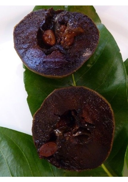 Çikolata Meyvesi Fidanı Black Sapote Diospyros Digyna 80 100 cm