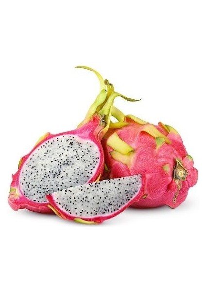 İçi Beyaz Ejder Meyvesi Fidanı Hylocereus Undatus Pitaya 20 cm fiyatları