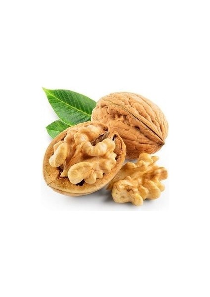 Ceviz Fidanı 30 40 cm Aşılı