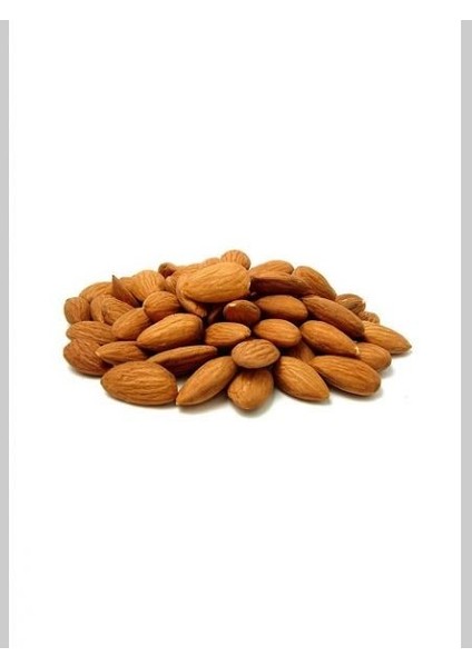 Badem Fidanı Nonparelle Nonpareil Saksıda fiyatları