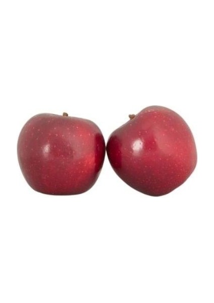 Elma Fidanı Galaval 120 cm Saksıda fiyatları