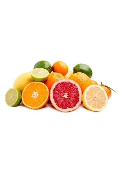 Narenciye Fidanı Saksıda