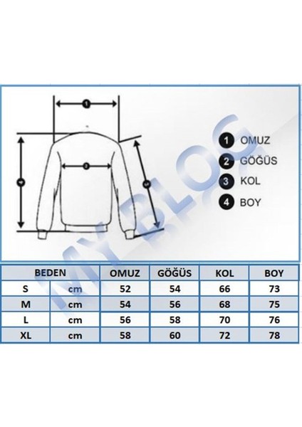 Kadın Gri Oversize Palm Springs Baskılı Sweatshirt modelleri