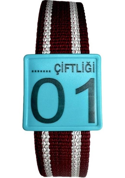 500 Adet Turkuaz Büyükbaş Numaratör Takımı (Numaratör +Kemer)