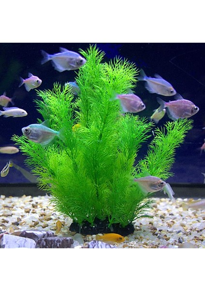 No.1 Tarzı 14CM Yapay Plastik Su Bitkisi Çimleri Akvaryum Balık Tankı Dekorasyonu Su Altı Bitkileri Simülasyon Su Çim Manzara Dekorasyonu (Yurt Dışından) fiyatları