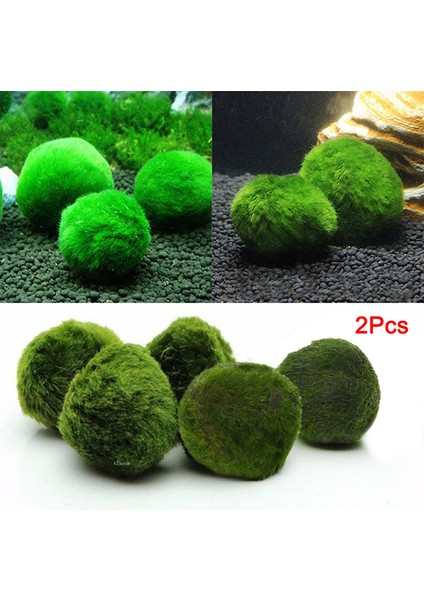 Moss Balls Seaweed Canlı Akvaryum Bitkisi Algler Frimp Tank Süsü (Yurt Dışından)